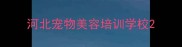 河北宠物美容培训学校