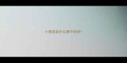 小狗疫苗什么牌子的好
