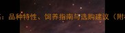 拉布拉多体高肩高品种特性饲养指南与选购建议附标准尺寸对照表