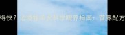 边牧吃什么长得快边境牧羊犬科学喂养指南营养配方与成长周期全