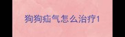 狗狗疝气怎么治疗