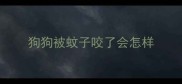 狗狗被蚊子咬了会怎样