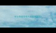 哈士奇是雪橇犬还是普通的