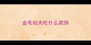 金毛幼犬吃什么能胖