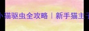 打疫苗前必看小猫驱虫全攻略新手猫主子疫苗前必做3步