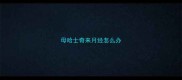 母哈士奇来月经怎么办