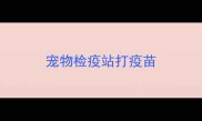 宠物检疫站打疫苗