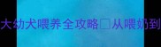 新手必看3个月大幼犬喂养全攻略从喂奶到断奶的详细指南