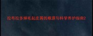 拉布拉多掉毛起皮屑的根源与科学养护指南