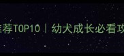 泰迪宝宝羊奶粉推荐TOP10幼犬成长必看攻略附避坑指南