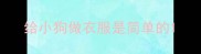 给小狗做衣服是简单的