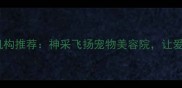 北京专业宠物美容机构推荐神采飞扬宠物美容院让爱宠焕发健康光彩
