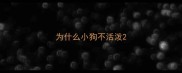 为什么小狗不活泼