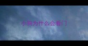 小狗为什么会看门