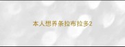 本人想养条拉布拉多