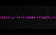 幼犬睡眠多怎么办半个月大小狗嗜睡的5大原因及科学应对指南