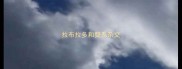 拉布拉多和獒系杂交