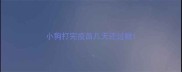 小狗打完疫苗几天还过敏