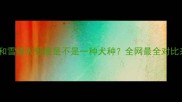 哈士奇和雪橇犬到底是不是一种犬种全网最全对比来了