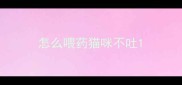 怎么喂药猫咪不吐