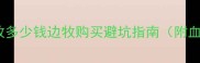 边牧价格最新参考价边牧多少钱边牧购买避坑指南附血统证书疫苗饲养全攻略