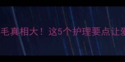 泰迪犬胸口白毛真相大这5个护理要点让爱犬焕发光彩