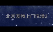 北京宠物上门洗澡