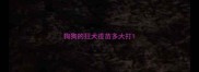 狗狗的狂犬疫苗多大打