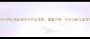 5个月大阿拉斯加幼犬饲养全攻略健康护理行为训练与营养指南