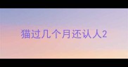 猫过几个月还认人
