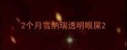 2个月雪纳瑞透明眼屎