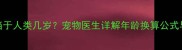 狗狗三个月相当于人类几岁宠物医生详解年龄换算公式与科学养宠指南