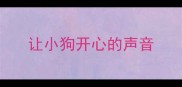让小狗开心的声音