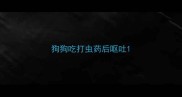 狗狗吃打虫药后呕吐