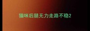 猫咪后腿无力走路不稳