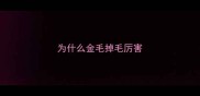 为什么金毛掉毛厉害