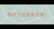 狗打了疫苗有点咳