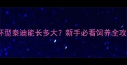 茶杯型泰迪能长多大新手必看饲养全攻略