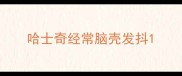 哈士奇经常脑壳发抖