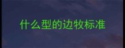 什么型的边牧标准