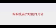 狗狗疫苗六联的打几针