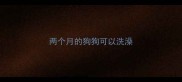 两个月的狗狗可以洗澡