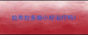 拉布拉多细小好治疗吗