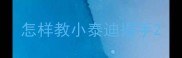 怎样教小泰迪握手