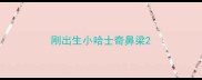 刚出生小哈士奇鼻梁