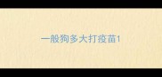 一般狗多大打疫苗