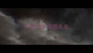 拉布拉多修理毛发