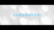 济南哪里有领养狗狗