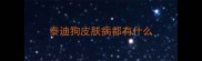 泰迪狗皮肤病都有什么