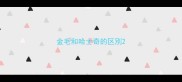 金毛和哈士奇的区別